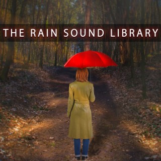 The Rain Sound Library