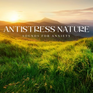 Antistress Nature: Sounds for Anxiety Relief, Detachment from Overthinking, Daily Relaxation Music