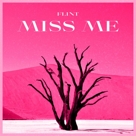 Miss Me (Instrumental Version)