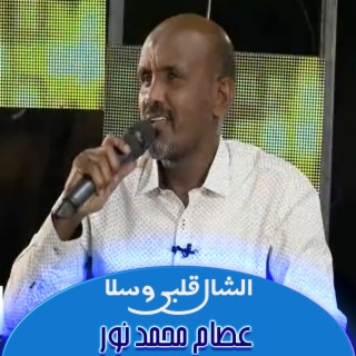 الشال قلبي وسلا