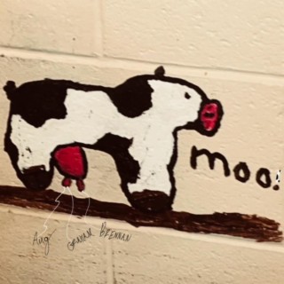 moo!