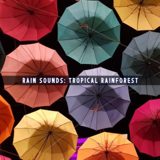 Rain Sounds - Tropical Rainforest