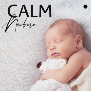 Calm Newborn by Reducing Stress: Dreamland Baby