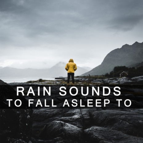 Rain Sound: Wet and Stormy | Boomplay Music