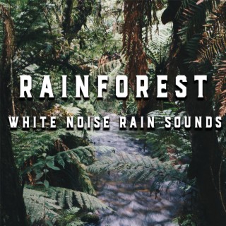 Rainforest White Noise Rain Sounds