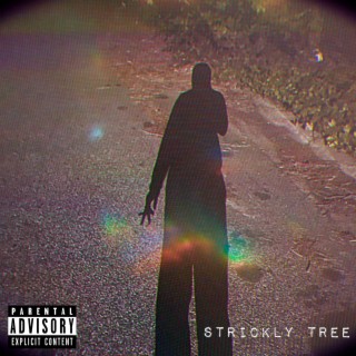 STRICKLY TREE