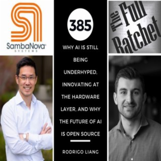 408. Workflow automation, LLMs impact on the Future of Work, Why  Proprietary Data-Sets Will Win, How Business Models Will Change with AI,  Why VCs should Focus on Revenue Growth and Not Markups (