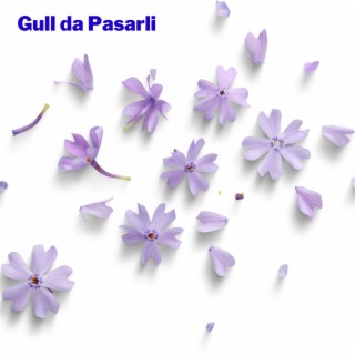 Gull da Pasarli