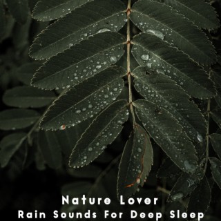 Nature Lover - Rain Sounds for Deep Sleep