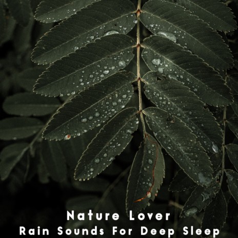 Nature Sounds : Rain 5 | Boomplay Music