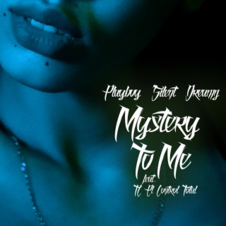 Mystery To Me ft. TC El Control Total lyrics | Boomplay Music