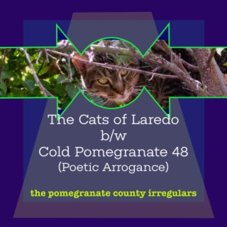 The Cats of Laredo b/w Cold Pomegrante 48 (Poetic Arrogance)