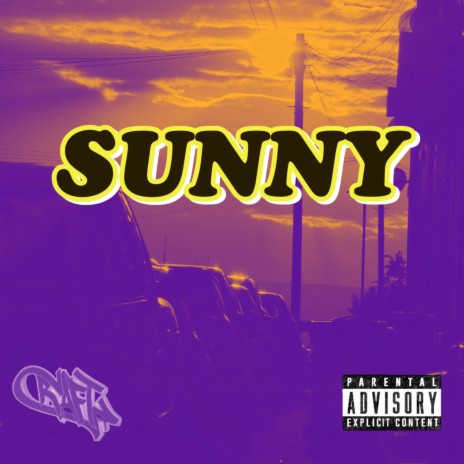 Sunny ft. Liam Walsh | Boomplay Music