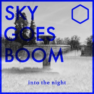 Into the Night lyrics | Boomplay Music