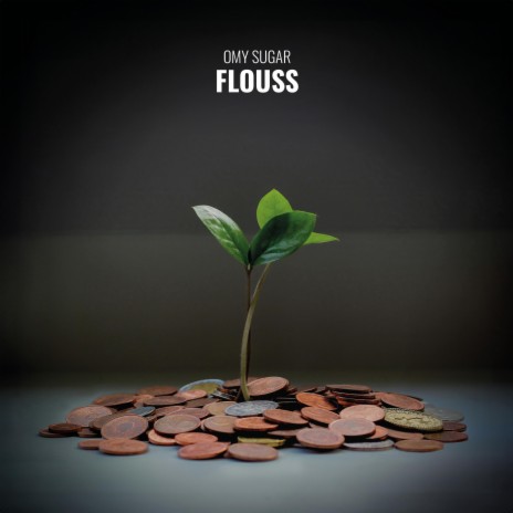 Flouss | Boomplay Music