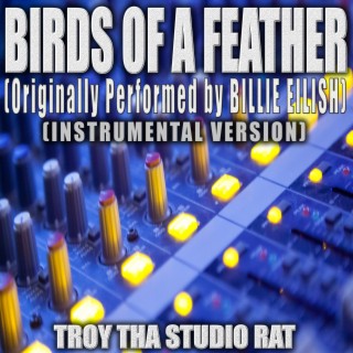 Birds Of A Feather (Originally Performed by Billie Eilish) (Instrumental Version)