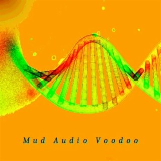 Mud Audio Voodoo