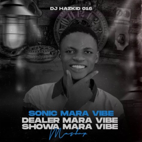Dealer Mara Vibe | Boomplay Music