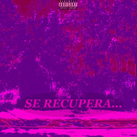 Se recupera... | Boomplay Music