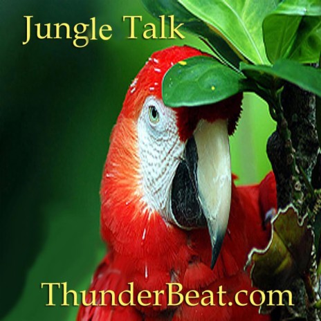 Jungle Talk (Radio Edit) | Boomplay Music