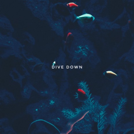 Dive Down | Boomplay Music