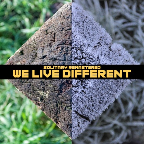 We Live Different (Special Version) | Boomplay Music