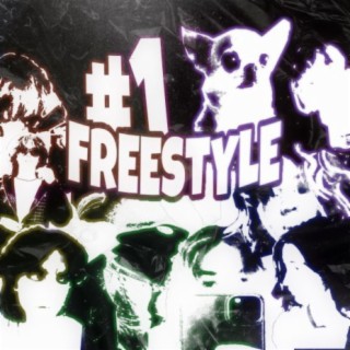 Topdog freestyle (feat. kasper gem)