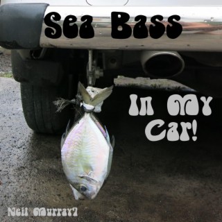 Sea Bass In My Car!