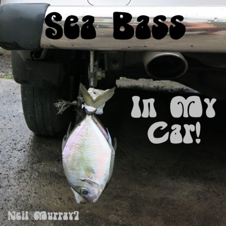 Sea Bass In My Car! | Boomplay Music