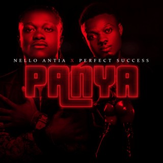 Panya (Radio Edit) ft. Perfect Success lyrics | Boomplay Music