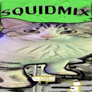 SQUIDMIX