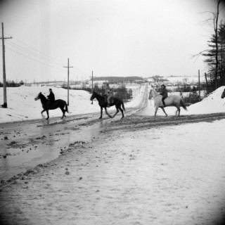 All the Pretty Horses