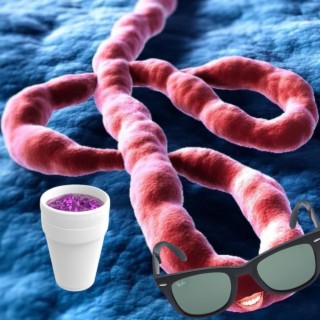 Ebola Freestyle