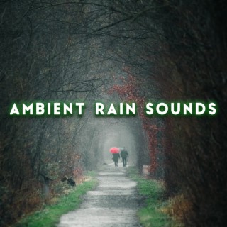 Ambient Rain Sounds - Relax, Meditate, Sleep & Focus