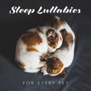 Sleep Lullabies for Every Pet: Gentle Music to Sleep to Your Pets, Calming Therapy, Music to Relax Your Puppies