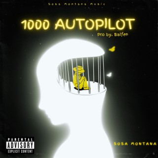 1000 autopilot