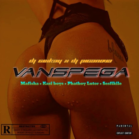 Vanspega ft. Dj Picanova, Mafisha, Kasi boys, Phatboy Lutor & Sesfikile | Boomplay Music