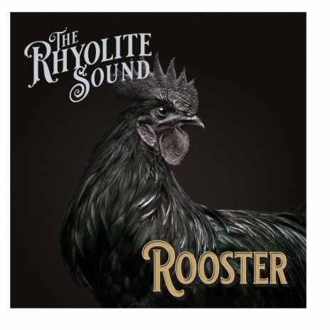 Rooster | Boomplay Music