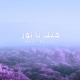 حبك يا نور lyrics | Boomplay Music