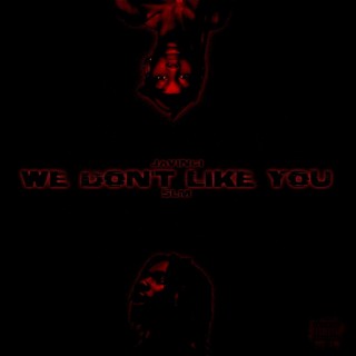 WE DON'T LIKE YOU ft. SLM lyrics | Boomplay Music