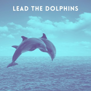 Lead The Dolphins