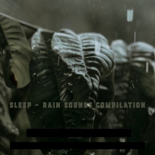 Sleep - Rain Sounds Compilation