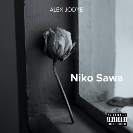 Niko Sawa