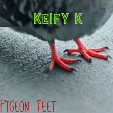 Pigeon Feet | Boomplay Music