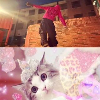 Love cats Love pink