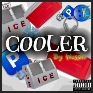 Cooler