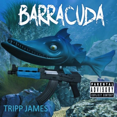 Barracuda | Boomplay Music