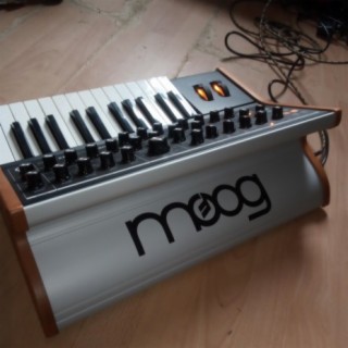 Bass VS Moog