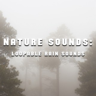Nature Sounds - Loopable Rain Sounds