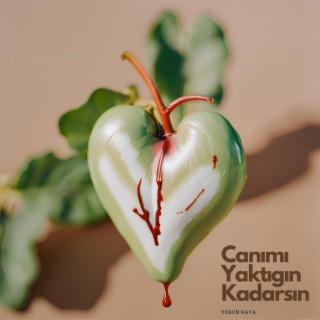 Canımı Yaktığın Kadarsın lyrics | Boomplay Music